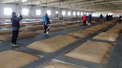 用釀酒白酒設(shè)備做酒的老酒坊想升級為大酒廠，只需做好這4點(diǎn)！