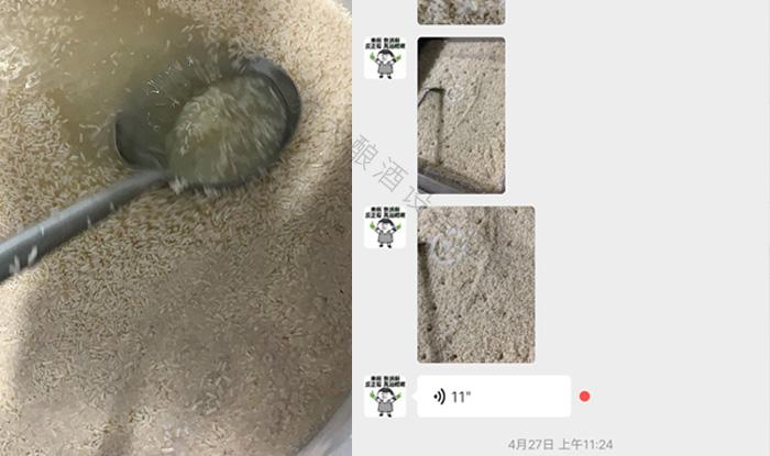 受疫情影響不讓養(yǎng)蛇，用電加熱釀酒設備做酒迎來新未來！ 3