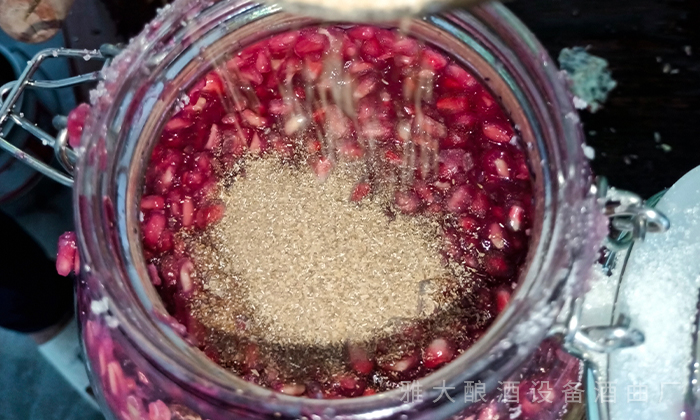 加入雅大水果酒曲