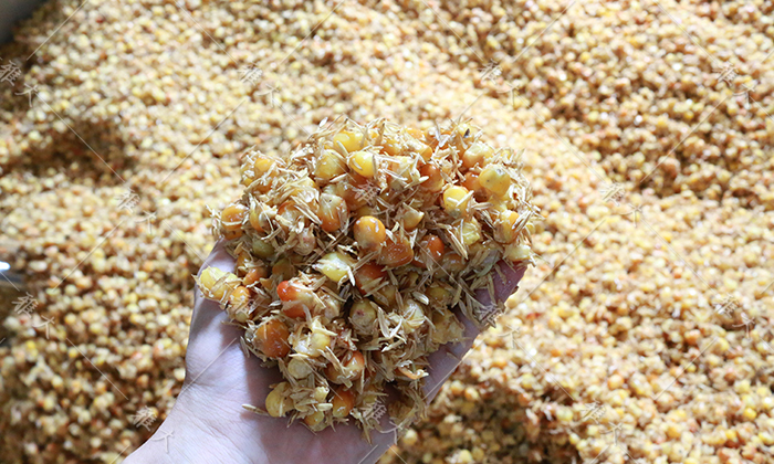 配糟可以讓酒醅疏松透氣