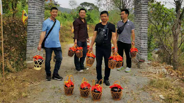 引進小型酒廠釀酒設(shè)備升級老酒坊，武功山黑糯米酒坊變身“釀酒農(nóng)莊”