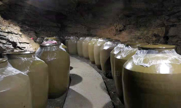 10.3用中型釀酒設備做洞藏酒，陶缸為首選容器