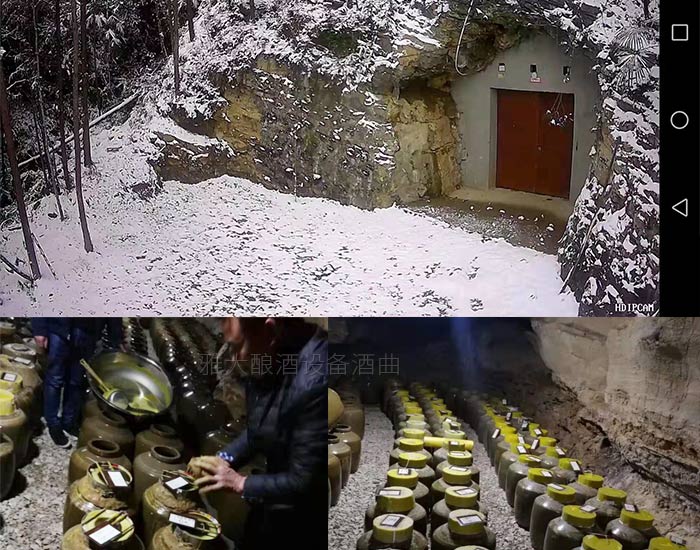 10.3做洞藏酒，“洞”的選擇很重要