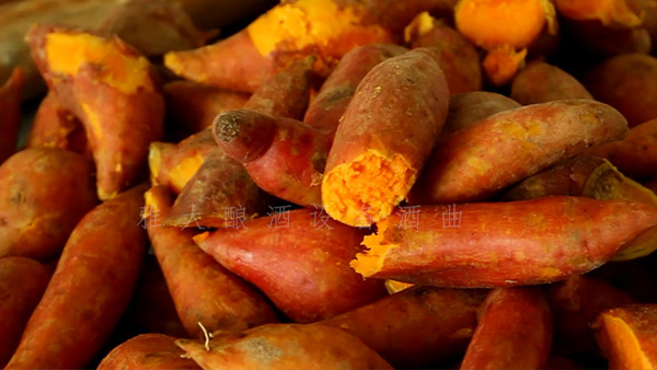 15歲開始釀酒可酒坊一直做不大，只缺1套現(xiàn)代熟料釀酒設備