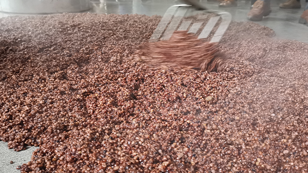 古法手工釀酒真的比現(xiàn)代工藝釀酒新設備釀酒好喝嗎？