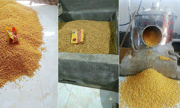 10.31用不銹鋼釀酒設(shè)備釀玉米酒，以糧換酒，養(yǎng)豬不花錢