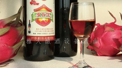 雅大釀酒設(shè)備廠家，果酒研發(fā)一年四季不打烊