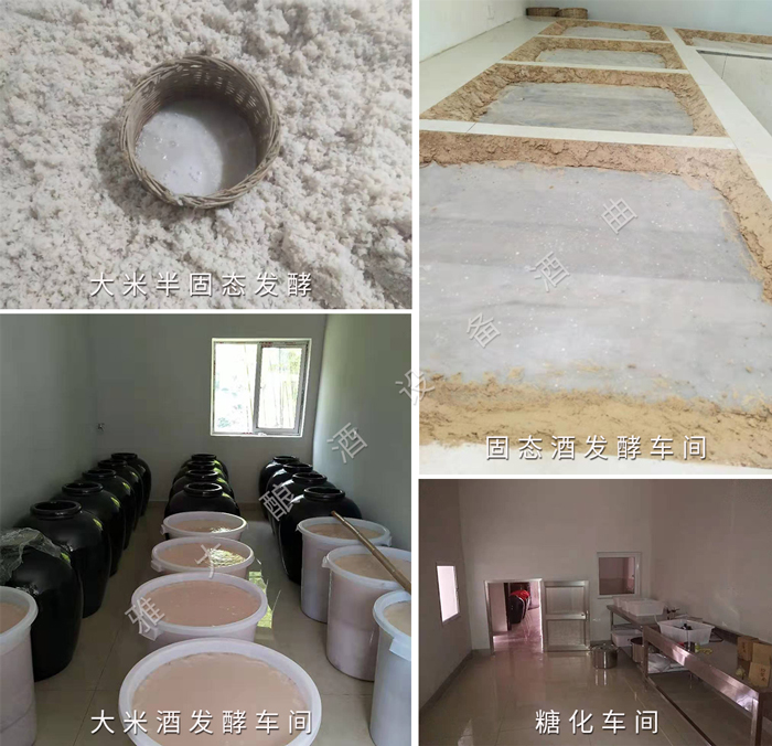 4.8糖化發(fā)酵車間