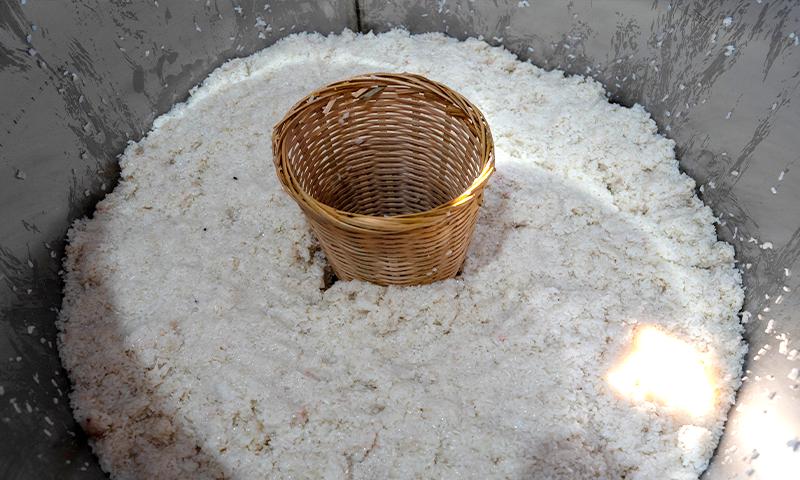 將糯米裝入發(fā)酵罐內(nèi)壓緊，挖個V字形狀