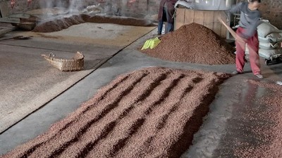 咱家不差錢，你又一把年紀了，何必堅持用中型釀酒設備做酒？