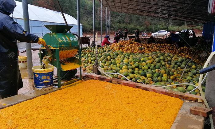 涂總組織員工加工分剝瓜皮、提取瓜籽