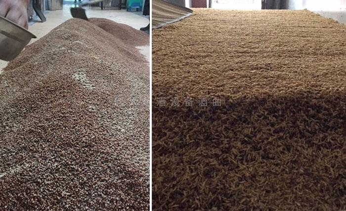 隆林酒坊對(duì)外開(kāi)放，顧客隨時(shí)參觀酒廠