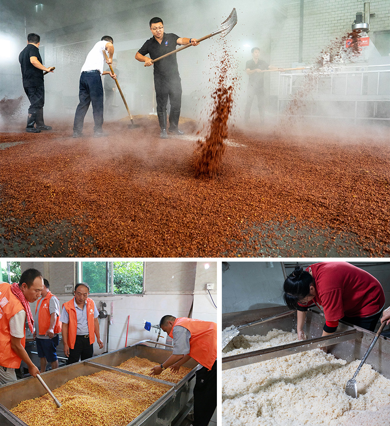 各種釀酒技術(shù)實(shí)操