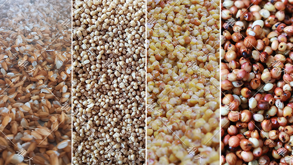 用做酒設備開酒坊銷路打不開，可自從做多糧酒后……