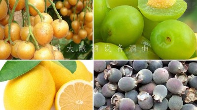 藏在果園里的果酒釀酒設(shè)備酒坊，生意卻依然火爆！