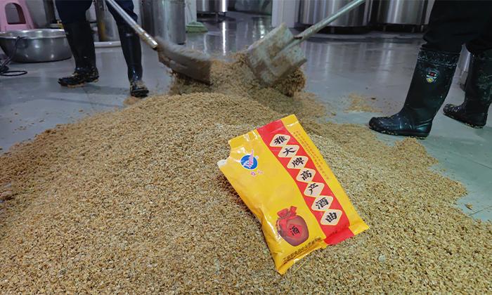 結(jié)合雅大高產(chǎn)酒曲加大曲，雙曲釀造工藝