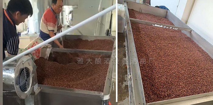 雅大技術老師上門指導設備安裝與技術教學