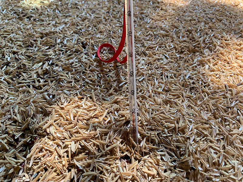 糖化溫度在30-36℃