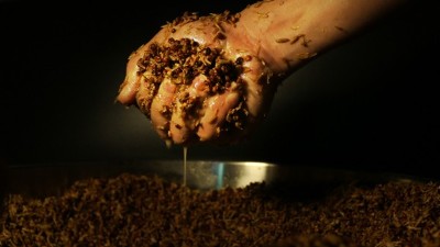 傳統(tǒng)老酒坊得不到傳承怎么辦？試試這款小型酒廠釀酒設備